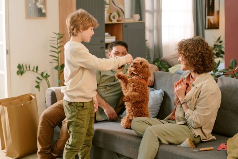 Furnace Flame Sensor Issues in Castle Shannon, PA